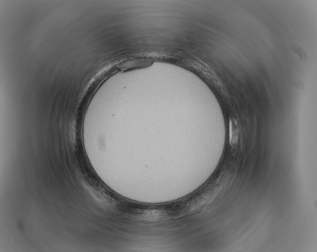 X0000113110204200909251059