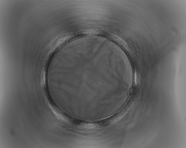 X0000113110205200909251059