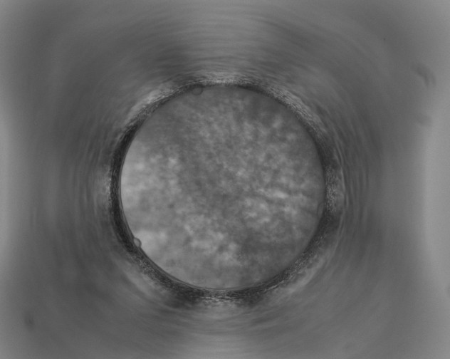 X0000113110207200909251059