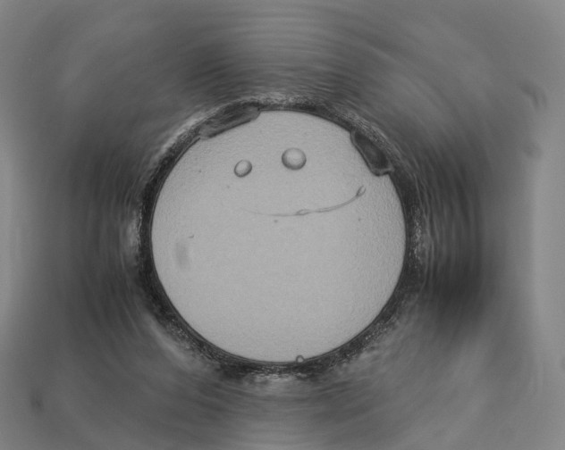 X0000113110208200909251059