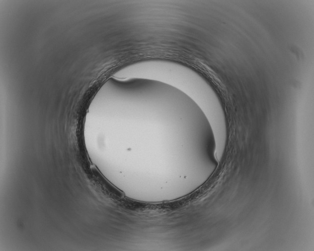 X0000113110209200909251059