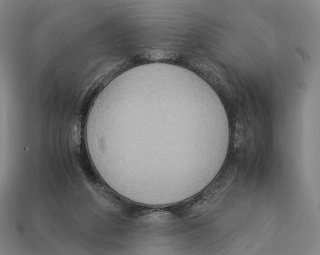 X0000113110210200909251059