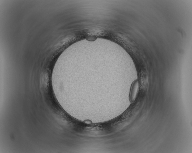 X0000113110211200909251059