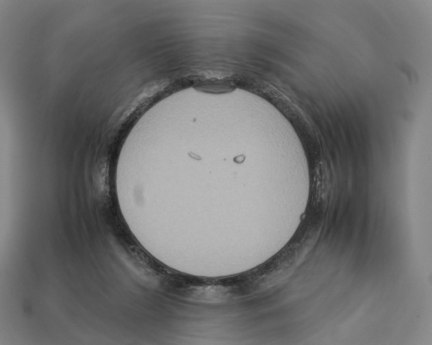 X0000113110212200909251059