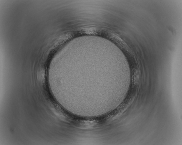 X0000113110213200909251059