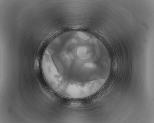 X0000113110214200909251059
