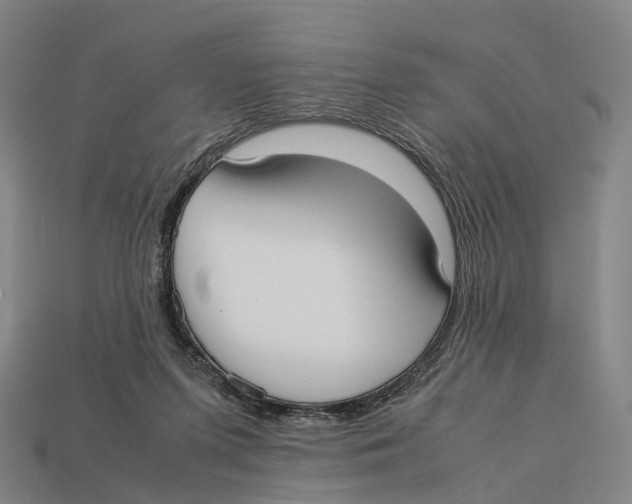 X0000113110215200909251059