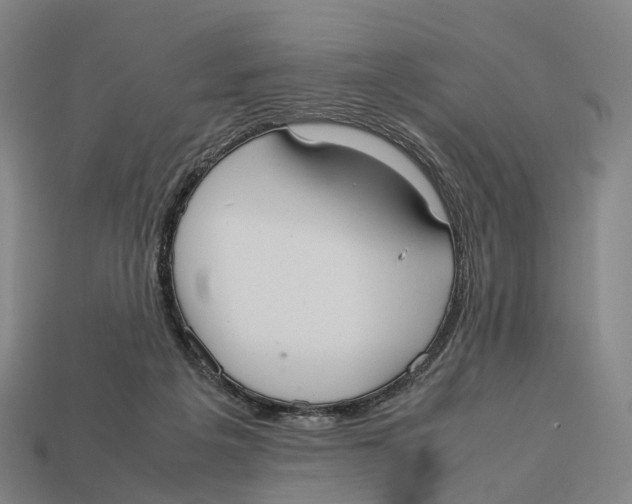 X0000113110217200909251059