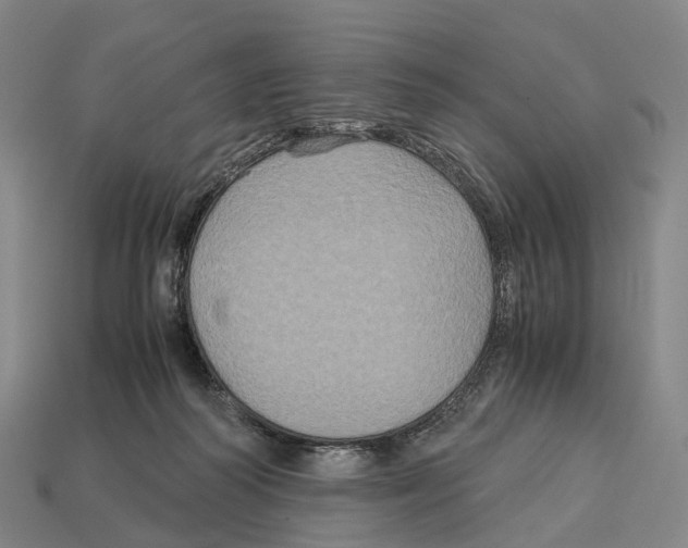 X0000113110218200909251059