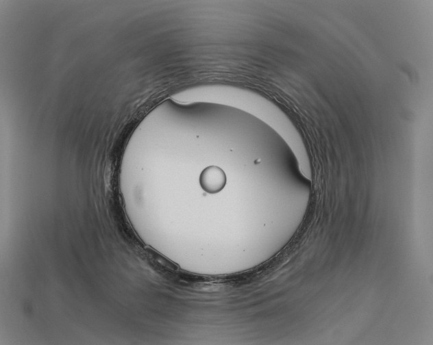 X0000113110219200909251059