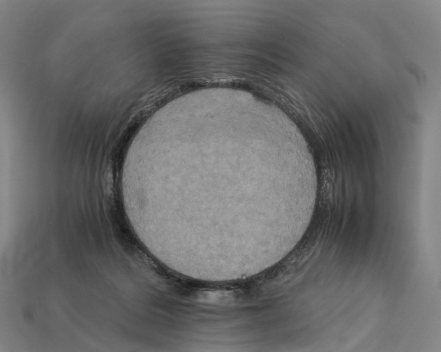 X0000113110220200909251059