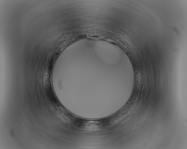 X0000113110222200909251059