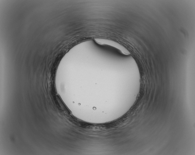 X0000113110223200909251059