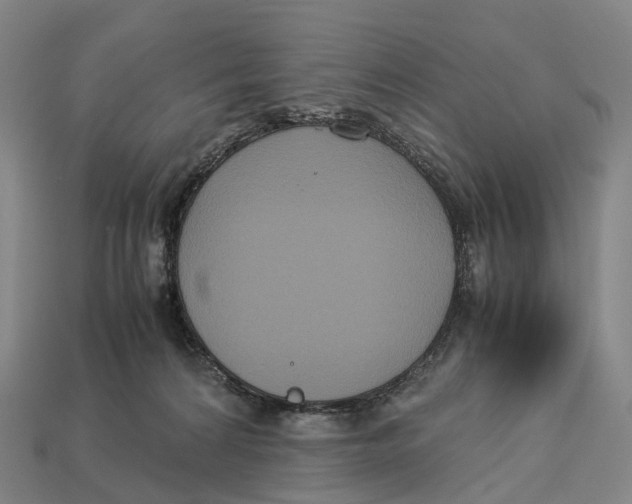 X0000113110224200909251059