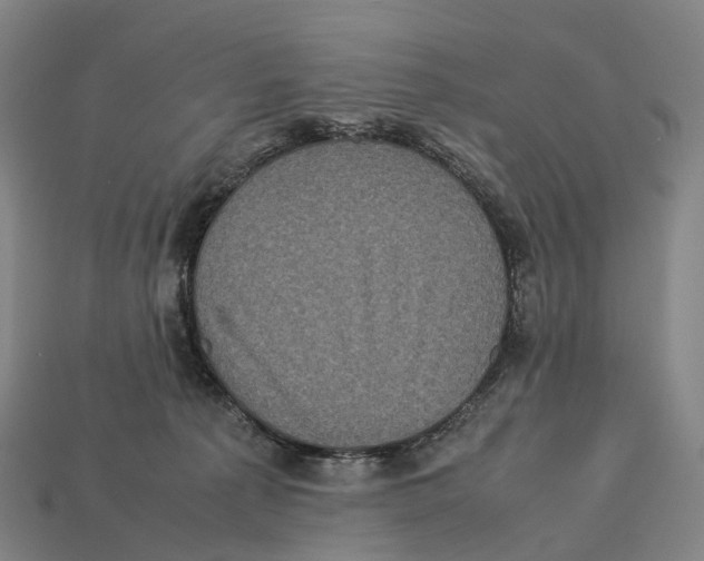 X0000113110225200909251059
