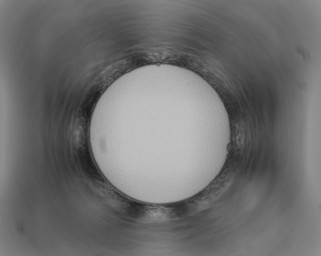 X0000113110226200909251059