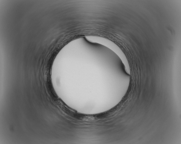 X0000113110227200909251058