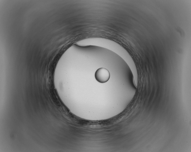 X0000113110228200909251058
