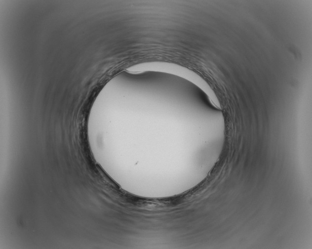 X0000113110229200909251058