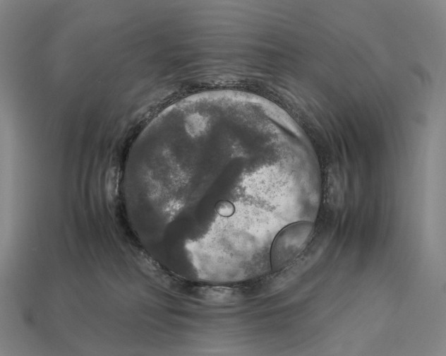 X0000113110230200909251058