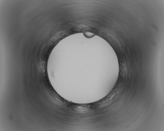 X0000113110232200909251058
