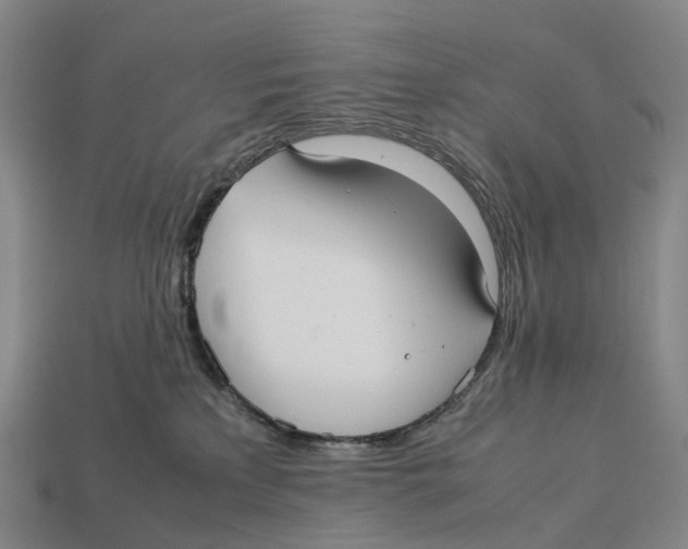 X0000113110233200909251058