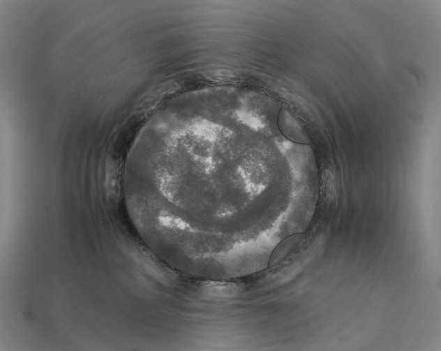 X0000113110234200909251058