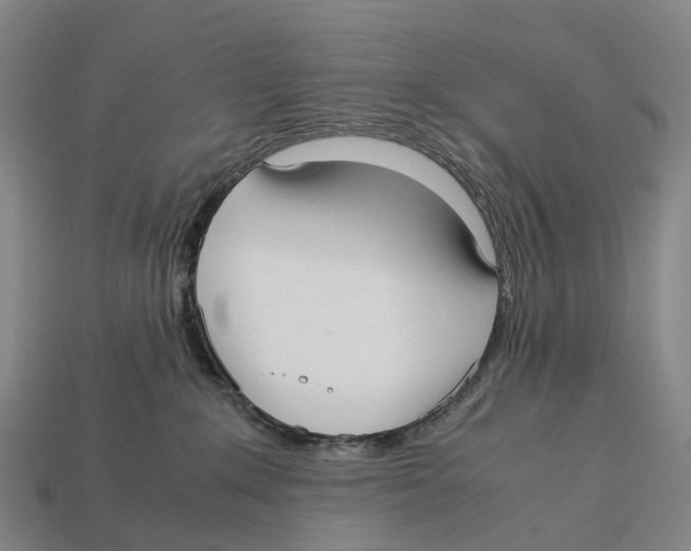 X0000113110235200909251058