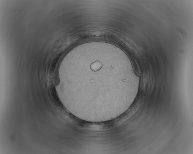X0000113110236200909251058