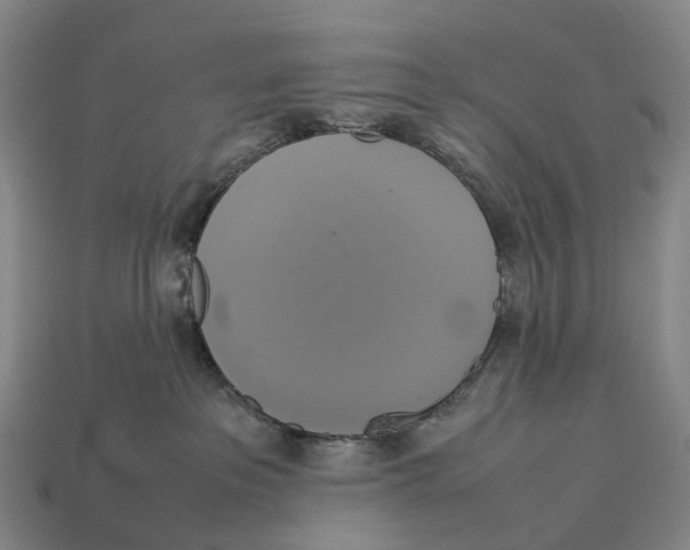 X0000113110237200909251058