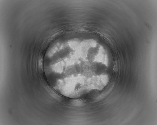 X0000113110238200909251058