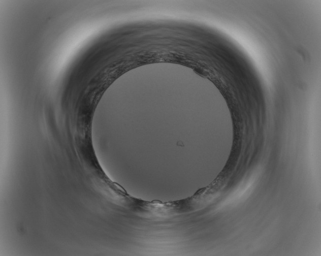 X0000113110239200909251058