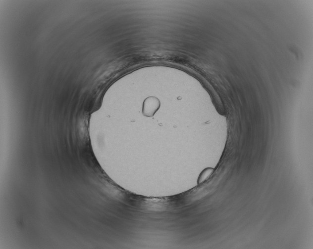 X0000113110240200909251058