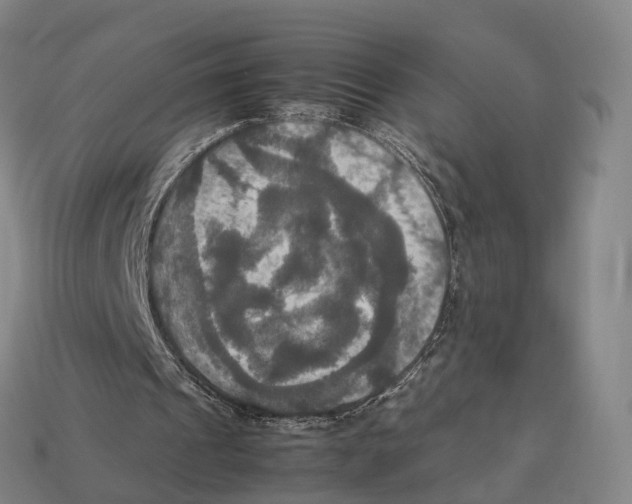 X0000113110241200909251058