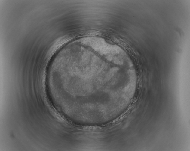 X0000113110242200909251058