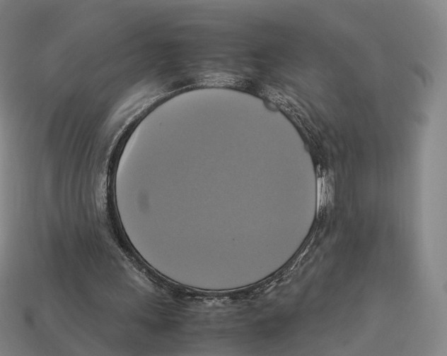 X0000113110243200909251058