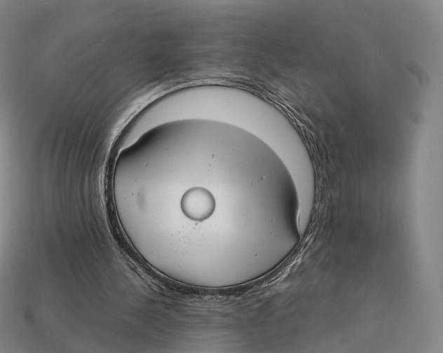 X0000113110244200909251058