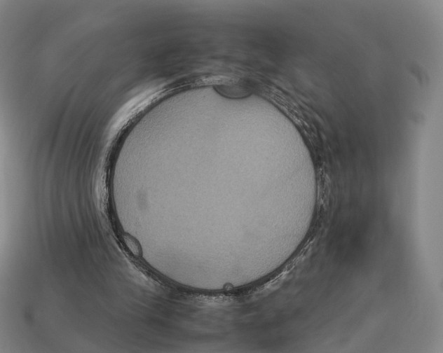 X0000113110245200909251058