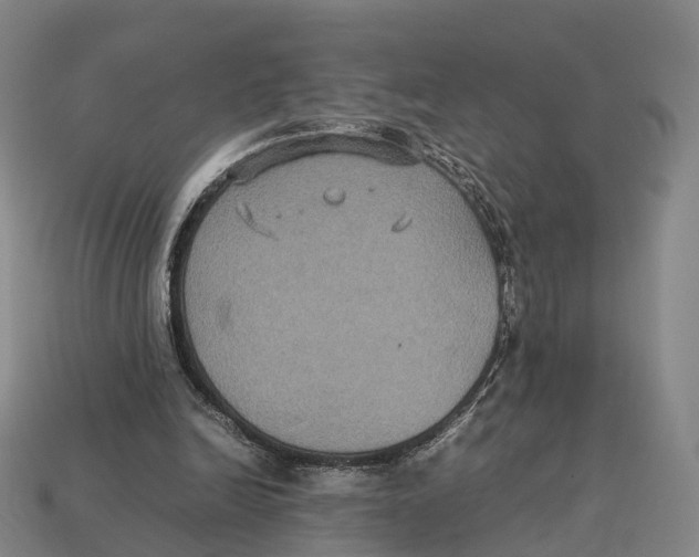 X0000113110246200909251058