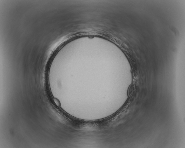 X0000113110248200909251058