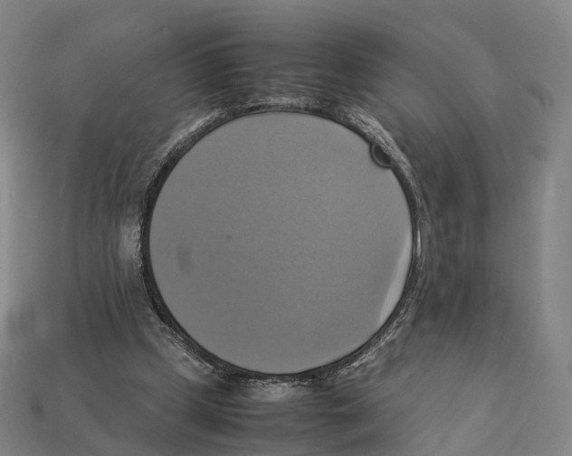 X0000113110249200909251058