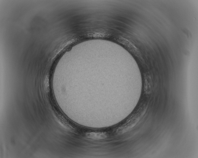 X0000113110251200909251058