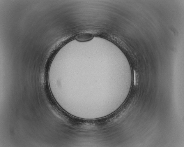 X0000113110252200909251058