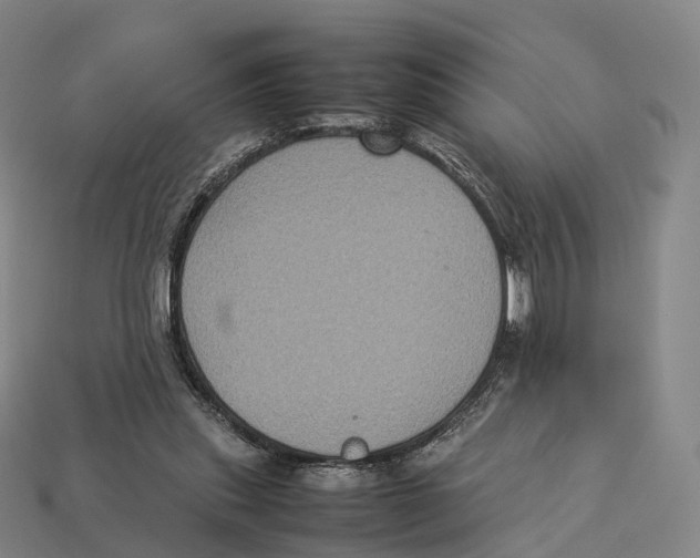 X0000113110253200909251058