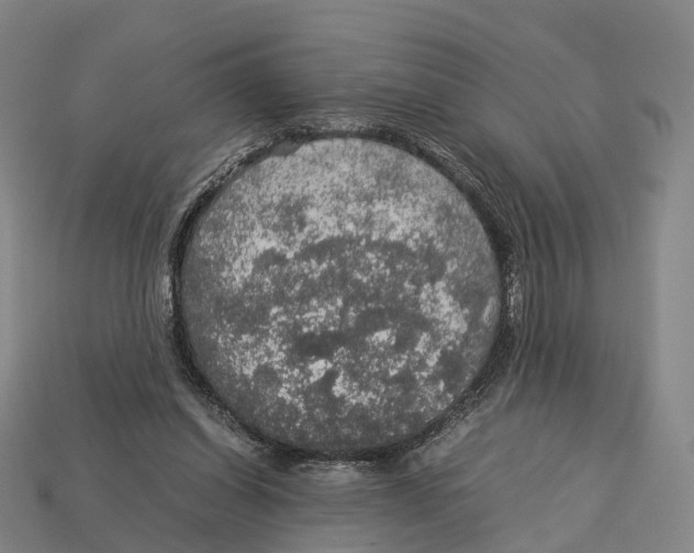 X0000113110254200909251058