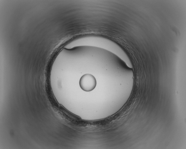 X0000113110256200909251058