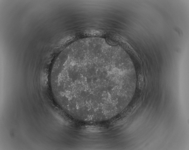 X0000113110259200909251058