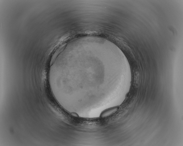 X0000113110260200909251058
