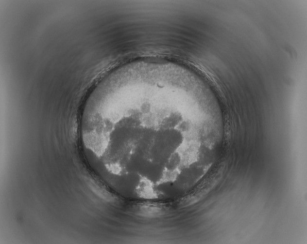 X0000113110261200909251058