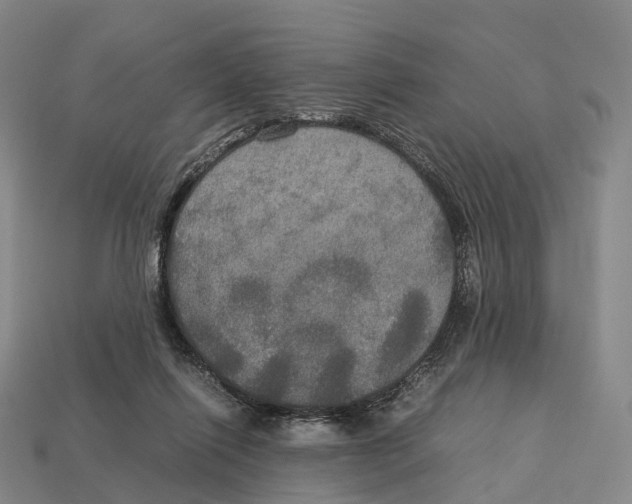X0000113110262200909251058